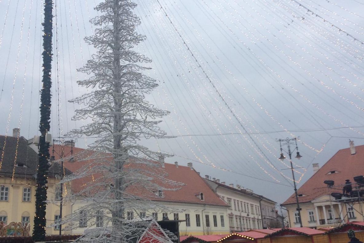 Bradul de Crăciun din Piaţa Mare nu e pe placul sibienilor. Primăria Râmnicu Vâlcea: "Cel mai trist şi urât brad se află la Sibiu!"