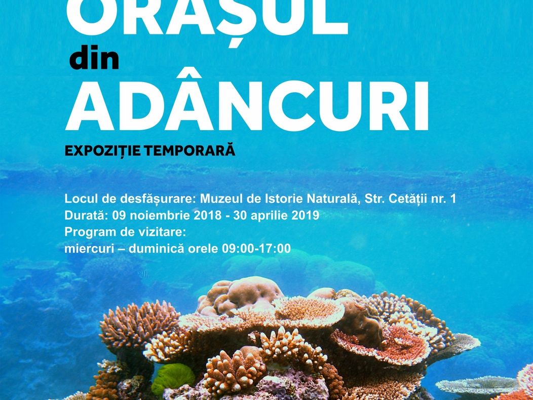 Peste 100 de locuitori ai mărilor în expoziția „Orașul din adâncuri”