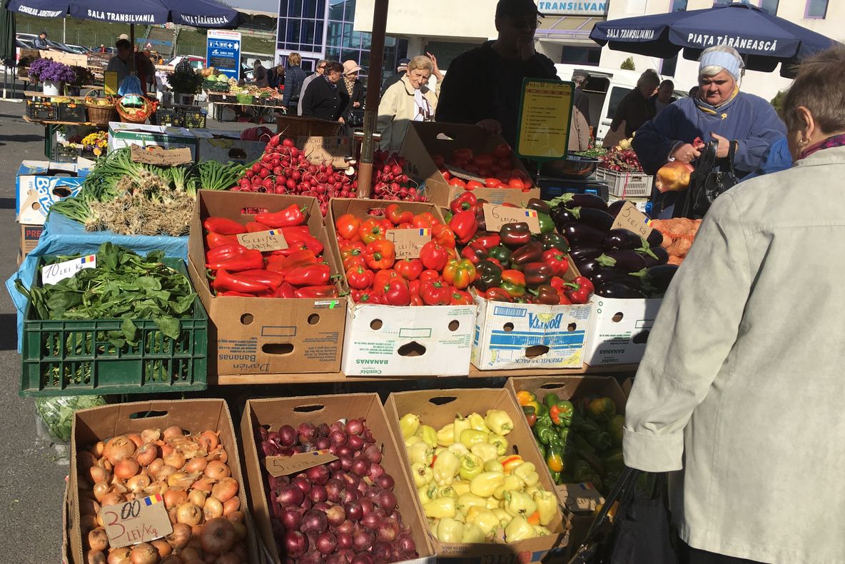 Producătorii din Piața Transilvania sărbătoresc Ziua Recoltei, alături de elevi din Rășinari