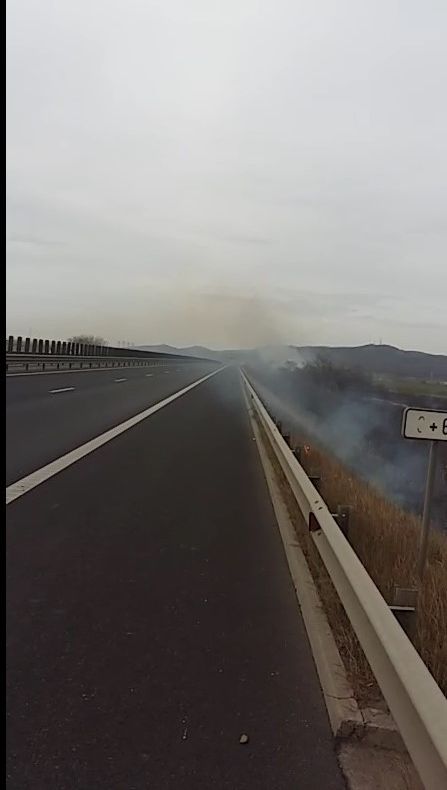 Video: Incendiu de vegetație pe A1. Trafic afectat