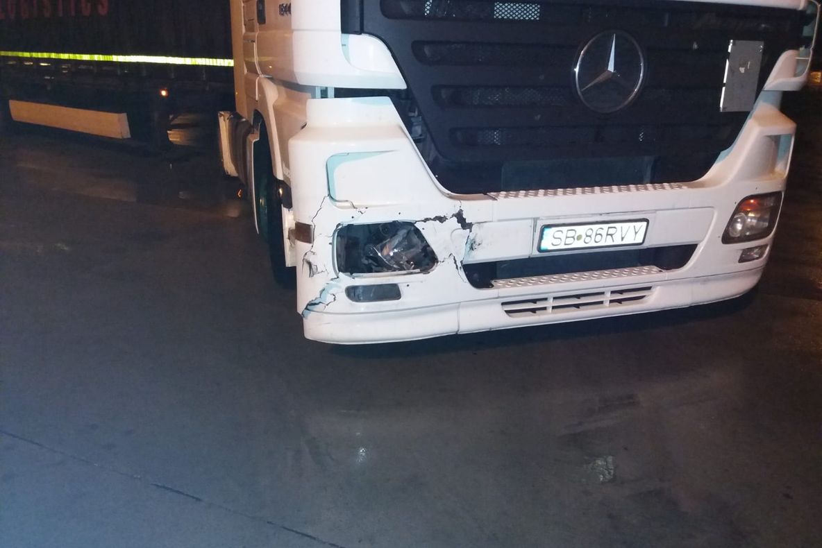 Video: Urs lovit de TIR la Săliște. Situația pare scăpată de sub control