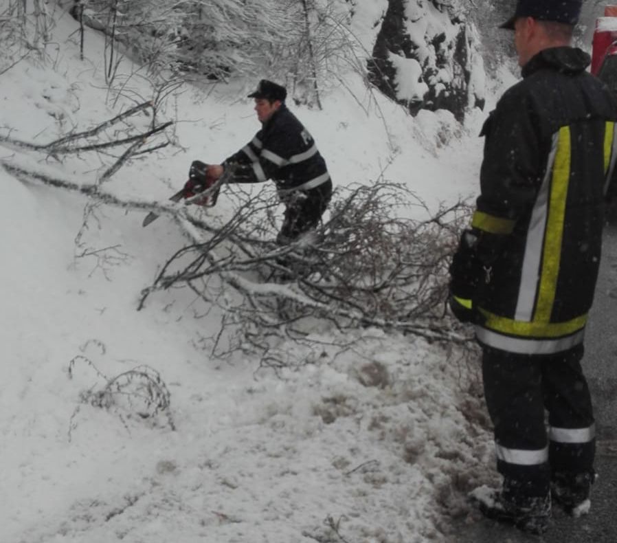 Pompierii intervin pe DN7, la Boița