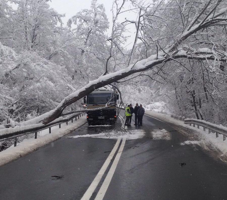 Traficul pe DN1, la Hula Bradului, blocat pentru câteva minute din cauza unui copac