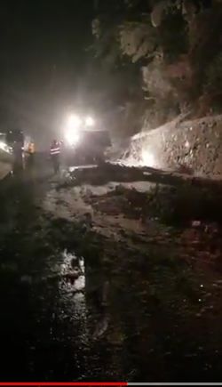 VIDEO | Circulaţie blocată, pe DN7, pentru înlăturarea unui copac căzut pe carosabil