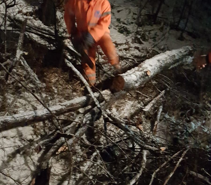 Copacii căzuți au îngreunat traficul noaptea trecută pe DN7