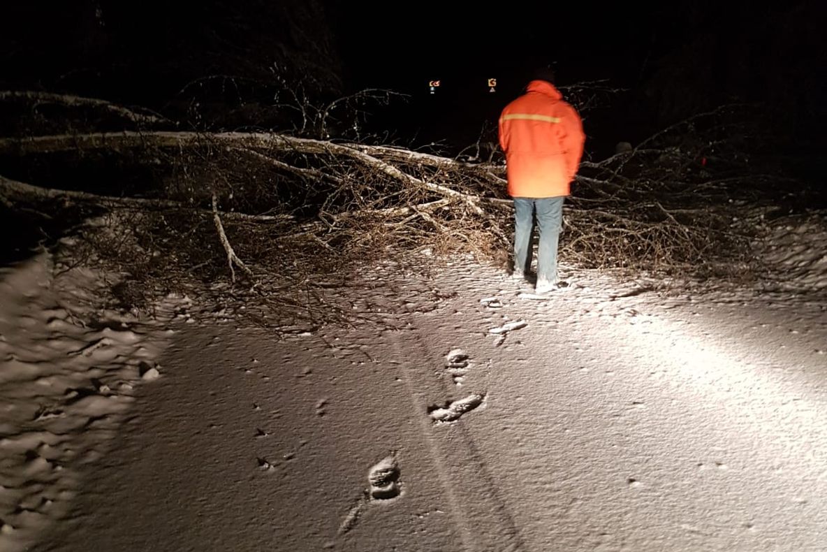 Copacii au continuat să cadă pe carosabil în județul Sibiu