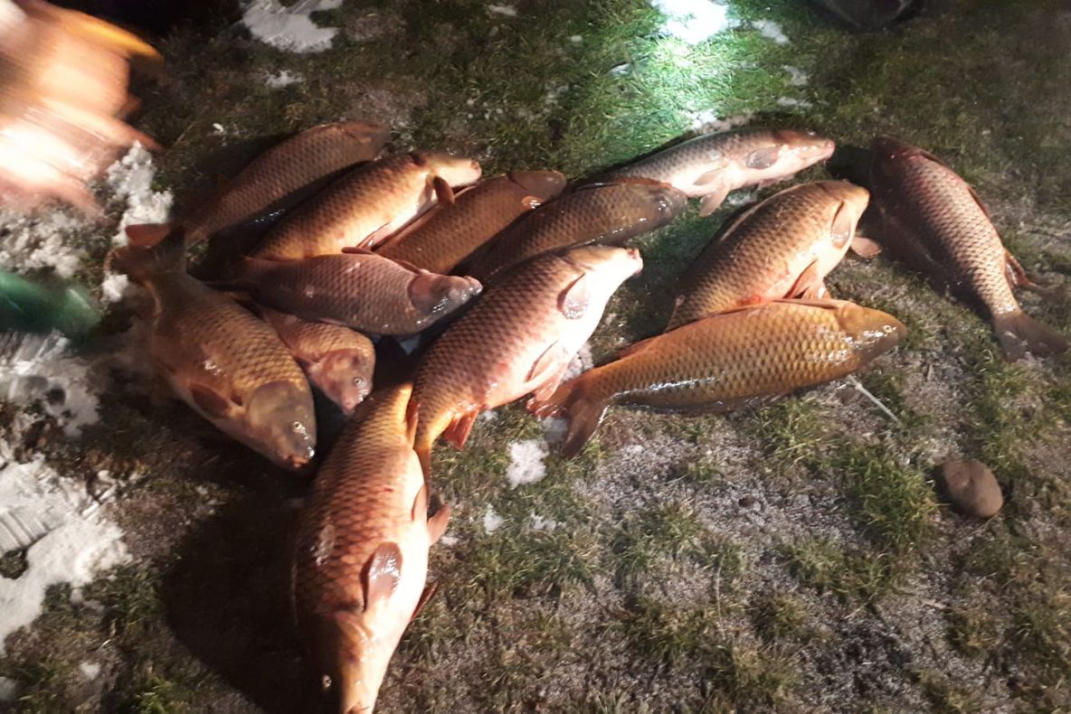 Patru vâlceni s-au ales cu dosar penal pentru braconaj piscicol
