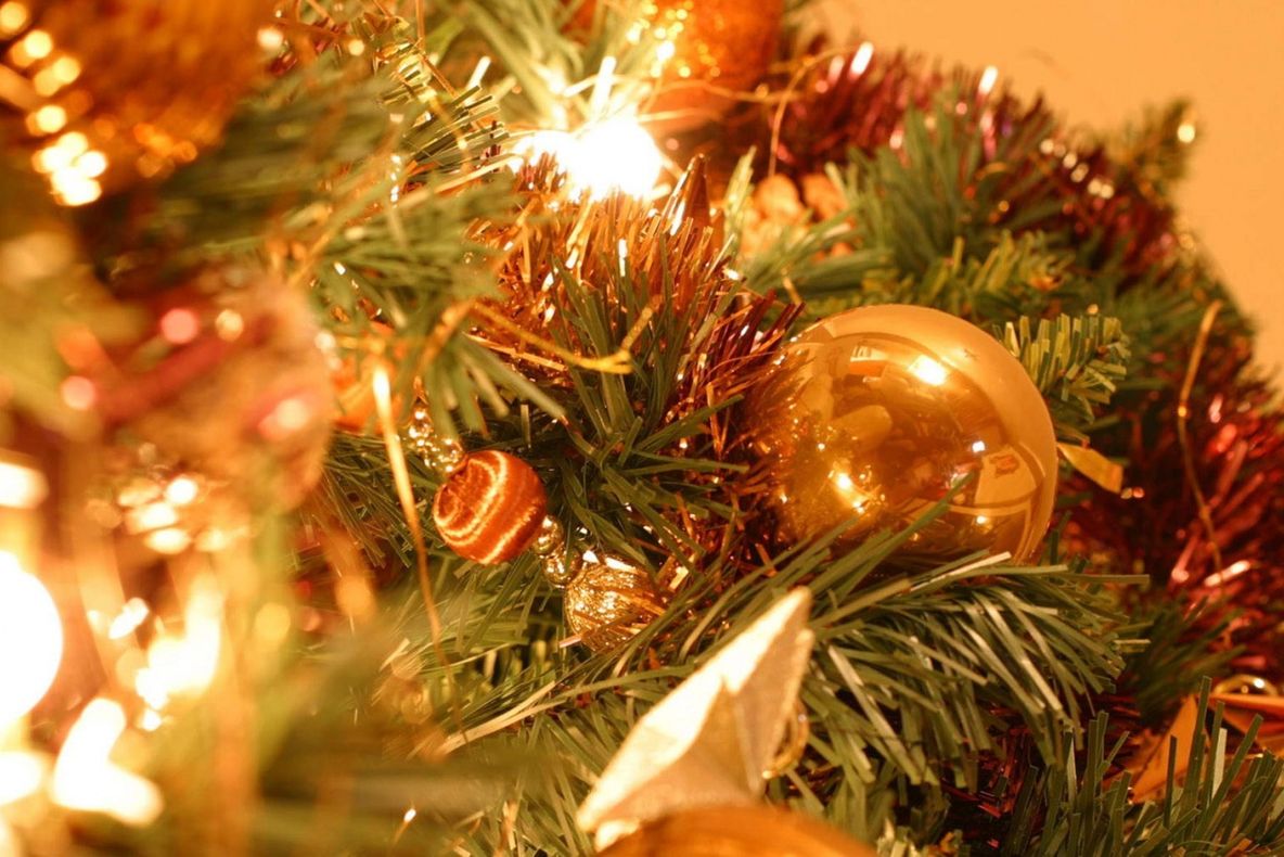 Copiii din centrele de plasament invitați să împodobească bradul la DGASPC