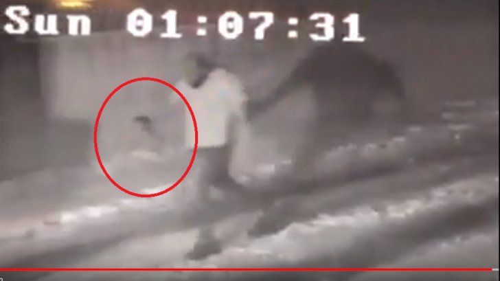 Deputatul Raluca Turcan: "Crima de la Mediaș arată din nou natura profund infracțională și anti-națională a guvernării PSD-ALDE!"