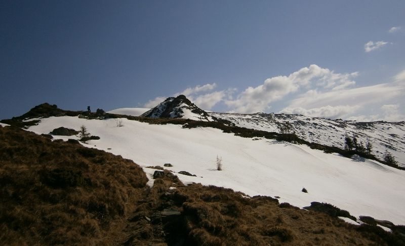 UPDATE: Turistul căzut pe munte, la cabana Suru, a decedat