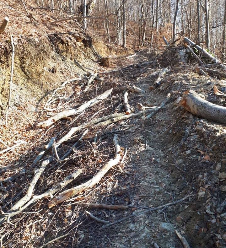 "Adăposturi temporare", la Muzeul de Artă Contemporană