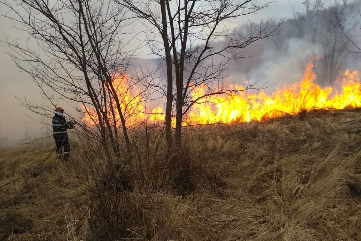 Incendiu de vegetație uscată în Mediaș