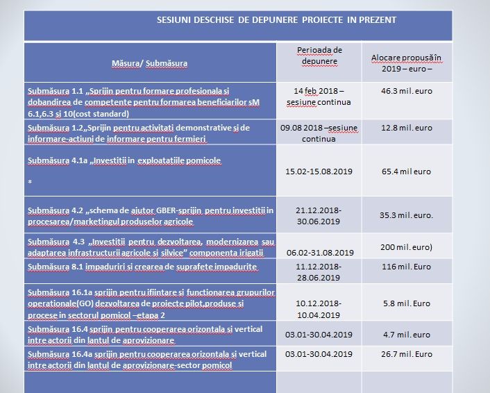 Jucătorii BC CSU Sibiu au oferit 1.000 de mărțișoare femeilor