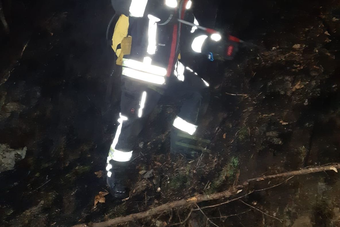 Trei ore de intervenție pentru lichidarea unui incendiu de vegetație la Râu Sadului