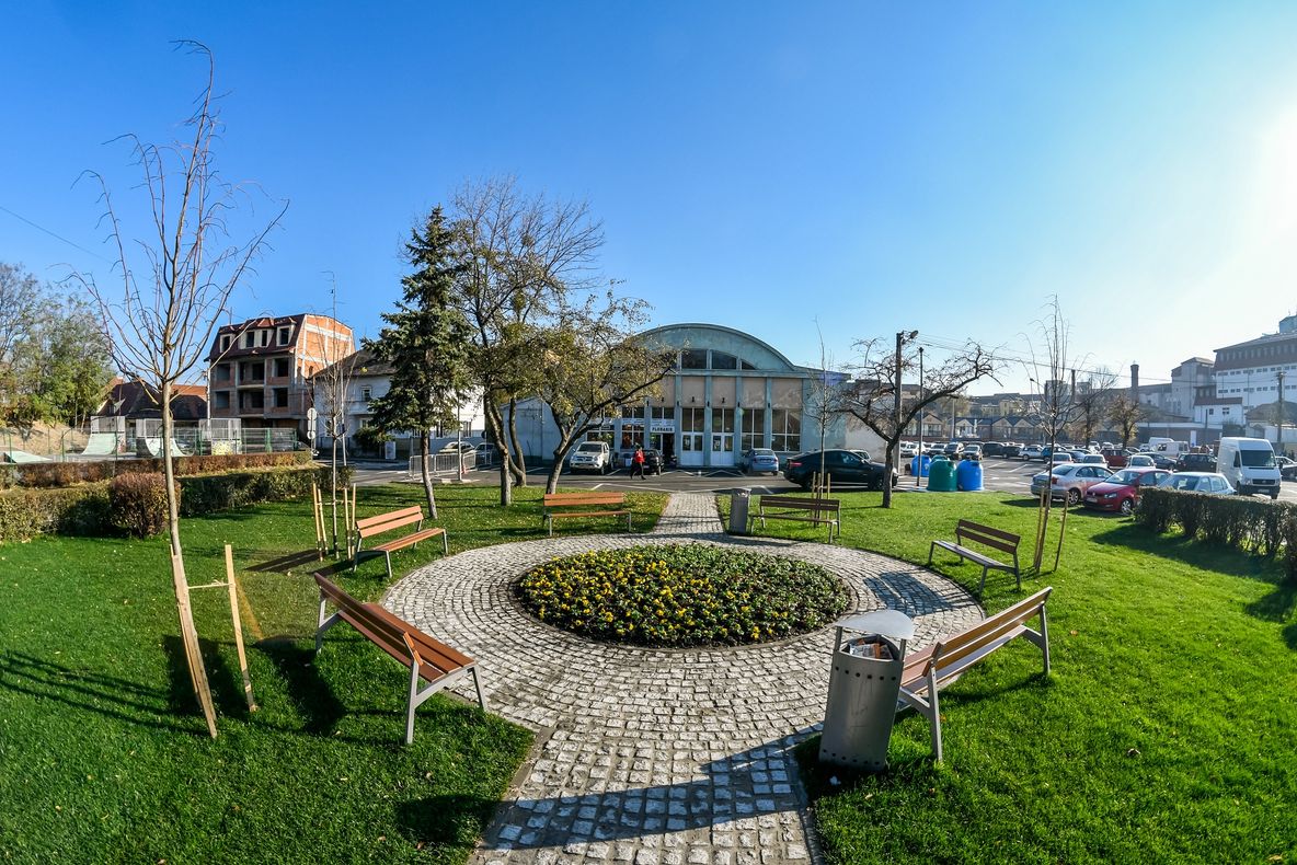 Peste 250 de arbori și arbuști, plantați în Sibiu