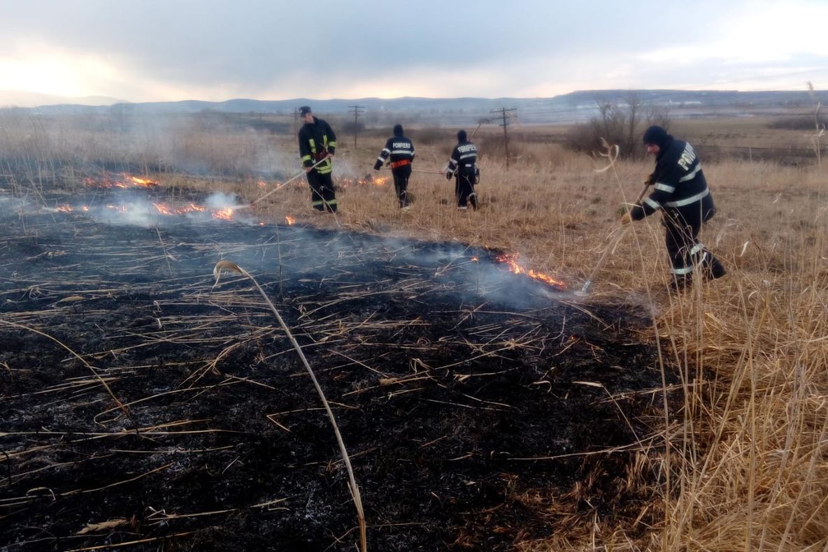 Incendiu de vegetație uscată, în apropiere de Ernea și pe A1