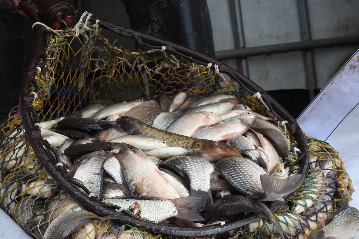 Mare atenție la alimentele din perioada Postului