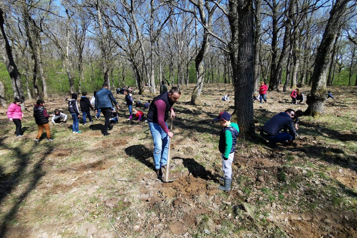 150 de copii au participat la o acțiune de plantare, în Șelimbăr