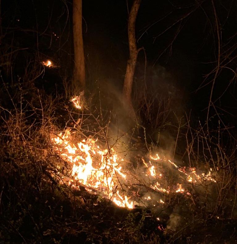 Peste 20 de incendii de vegetație în județul Sibiu, de la începutul lui aprilie