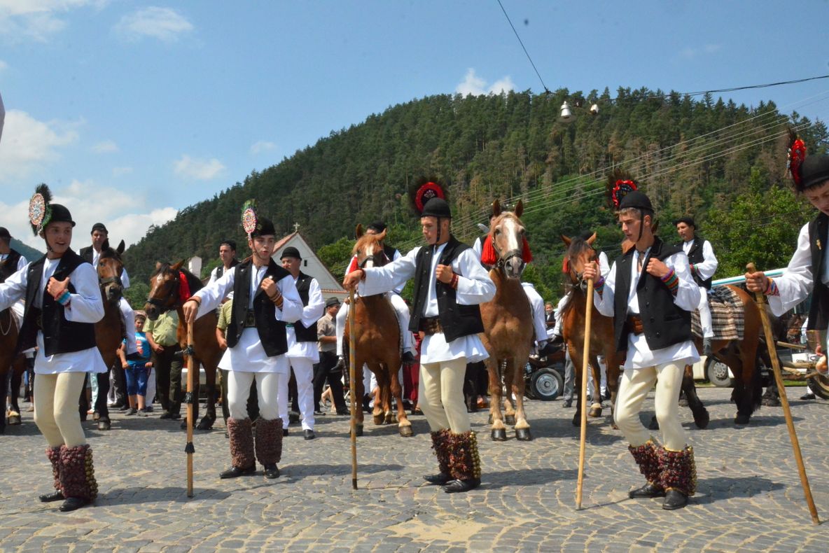 Bujorul de Munte înflorește cu dans și voie bună, la Gura Râului