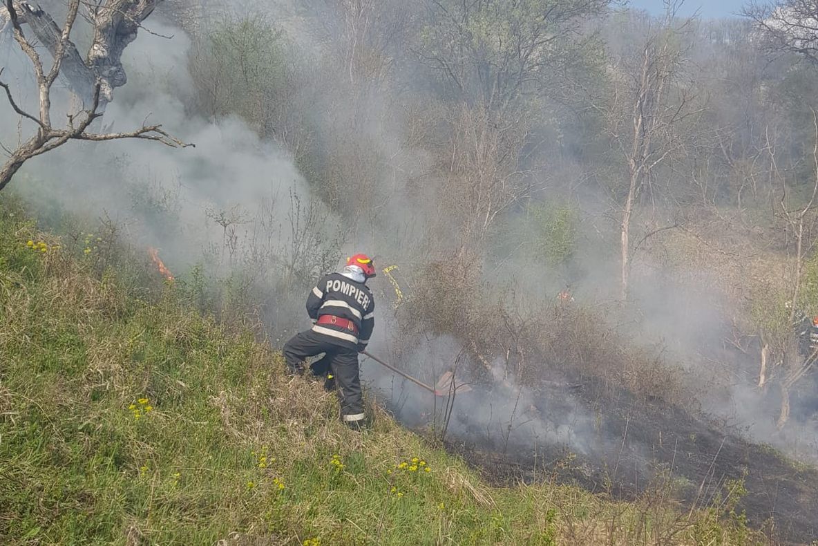 Incendiu de vegetație în Chirpăr