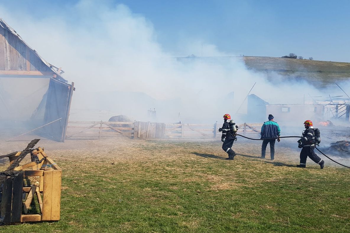 UPDATE: Incendiu la o stână din Șura Mare