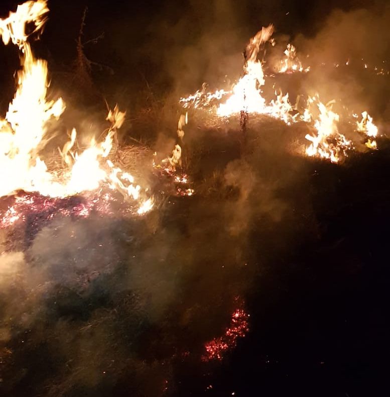 5.000 mp de vegetație uscată și traverse de cale ferată au ars la Mohu