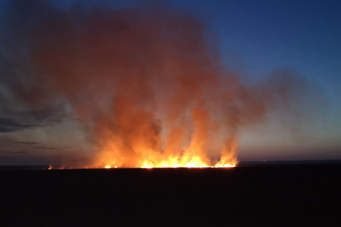 Incendiu de vegetație la Apoldu de Sus