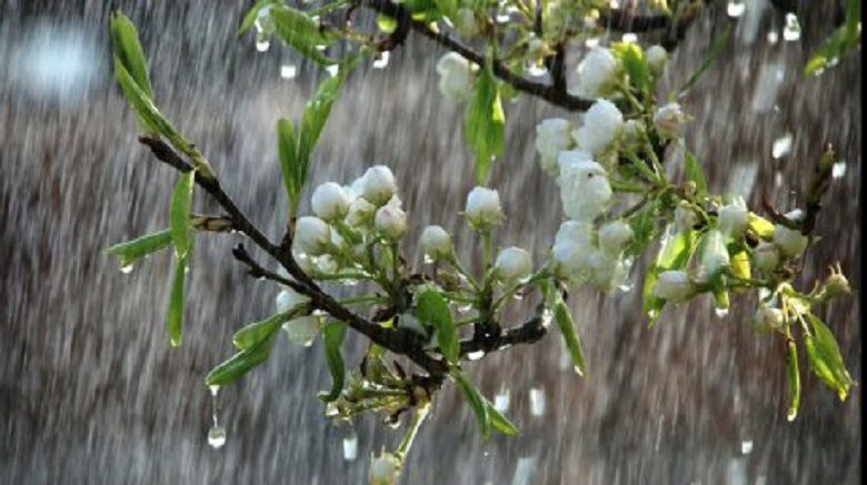 Săptămână cu ploi slabe, la Sibiu. Temperaturi maxime de 16 grade Celsius