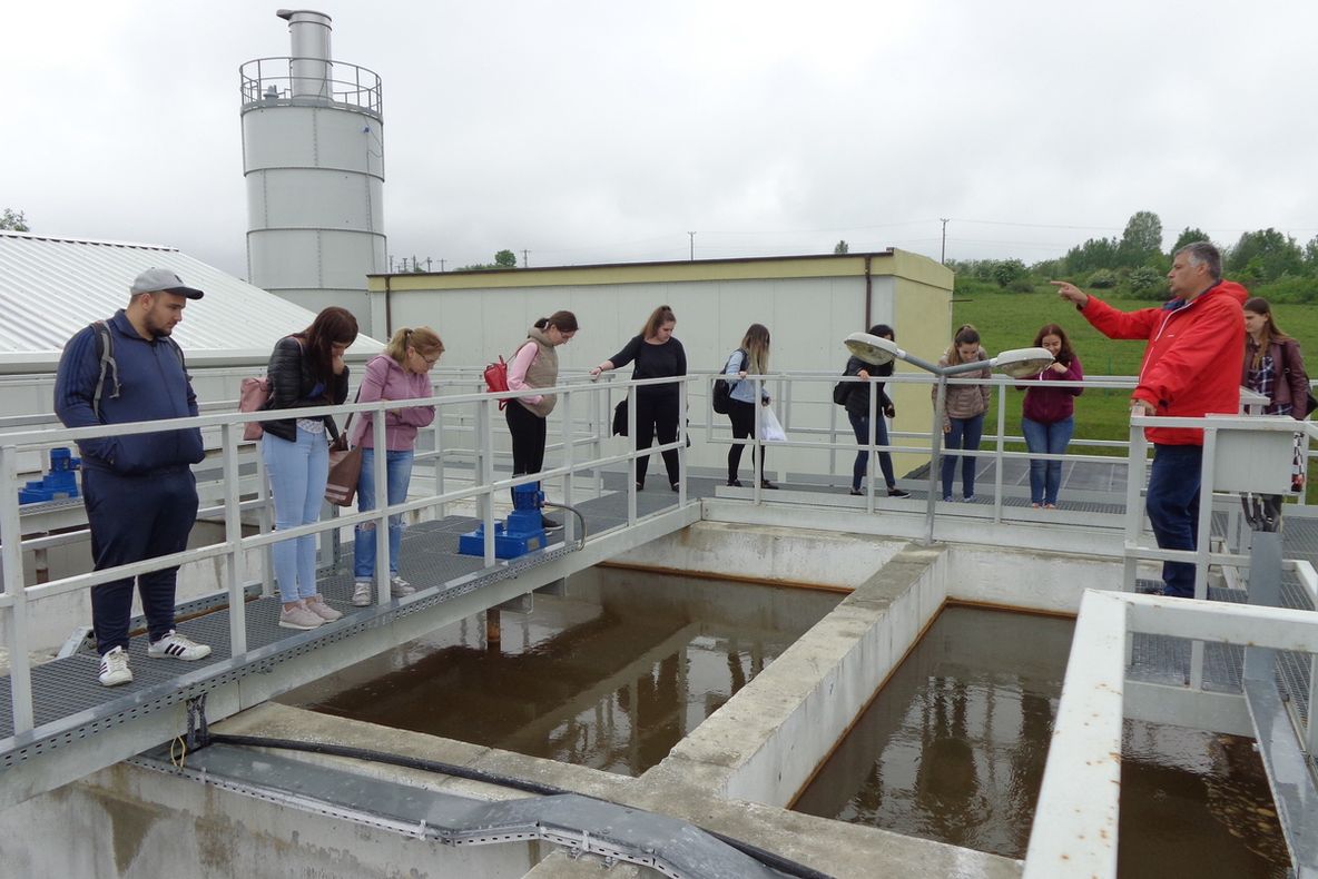 Studenții Facultății de ȘAIAPM au participat la "Săptămâna Verde"