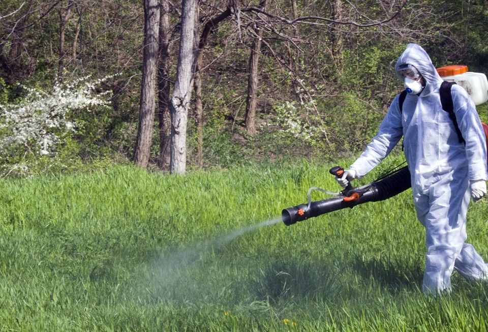 78 de persoane înțepate de căpușe într-o lună