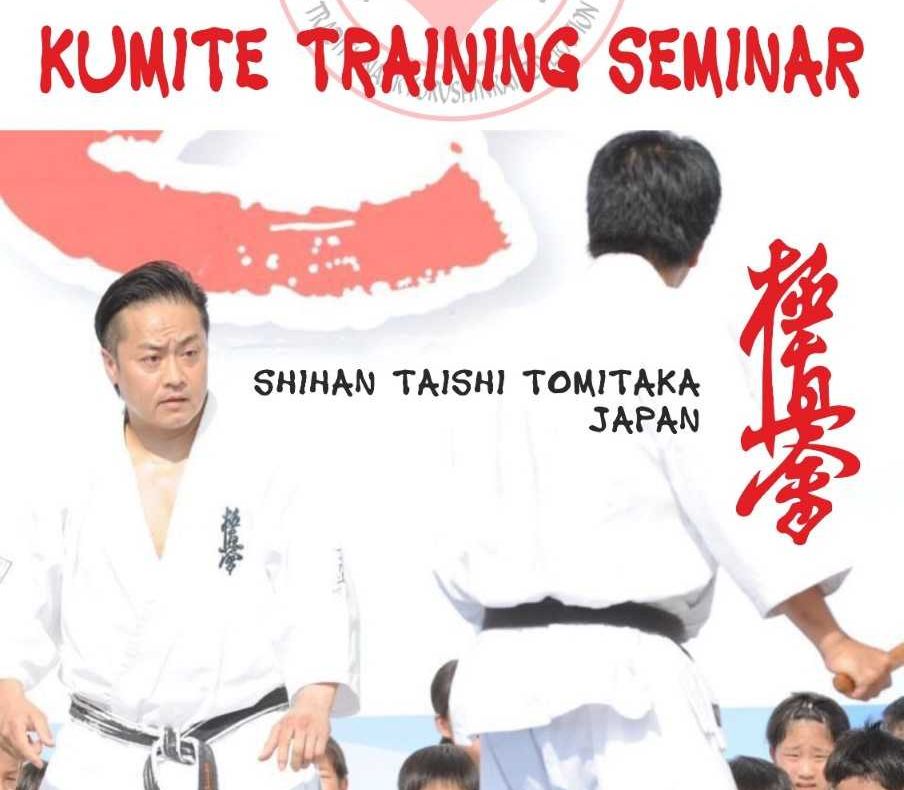 La Sibiu se desfășoară cea de-a doua ediție a seminarului de luptă kyokushin