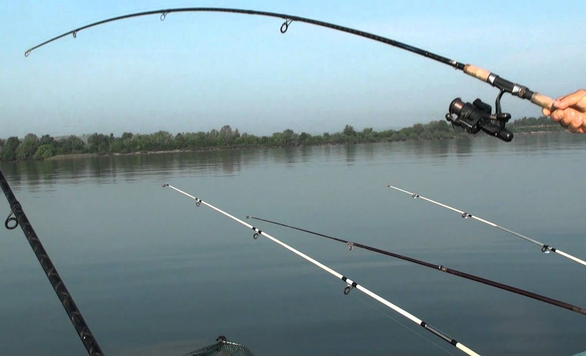 Patru bărbați sancționați pentru pescuit ilegal într-un lac din Muzeul Astra