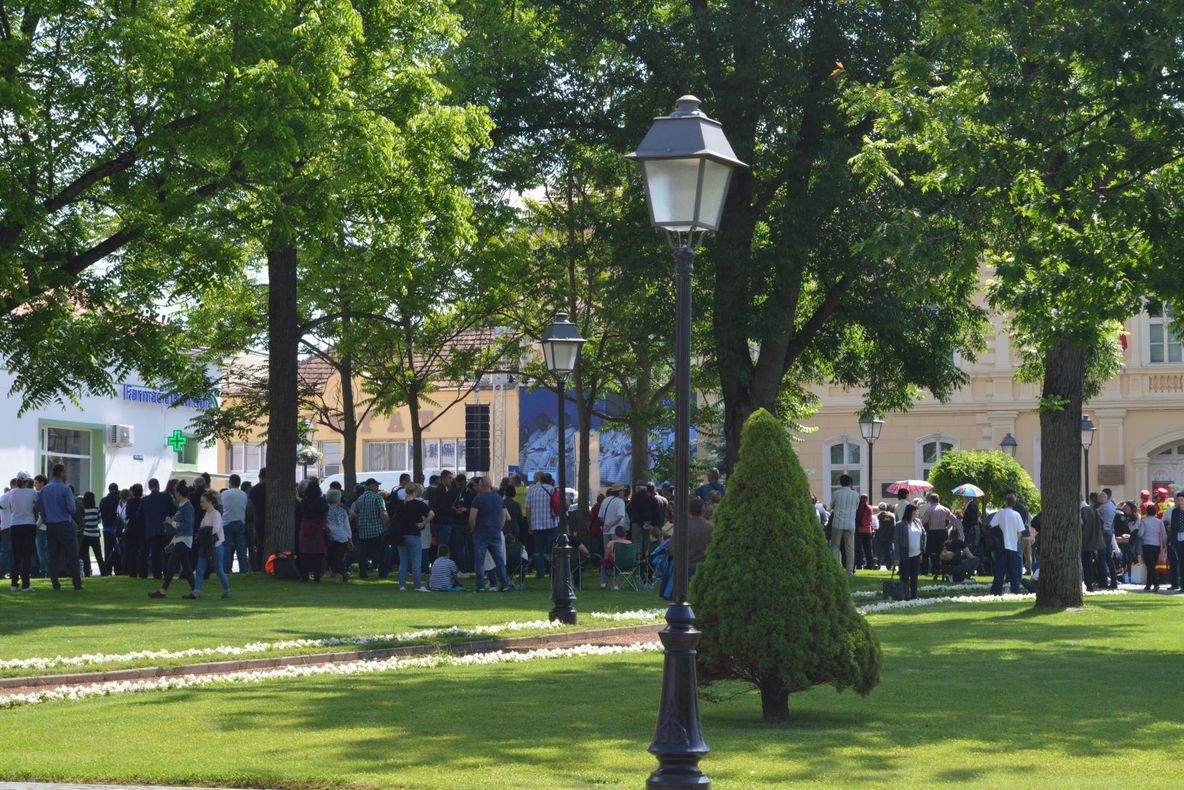 Depuneri de coroane și jerbe de flori la monumentele eroilor din județ