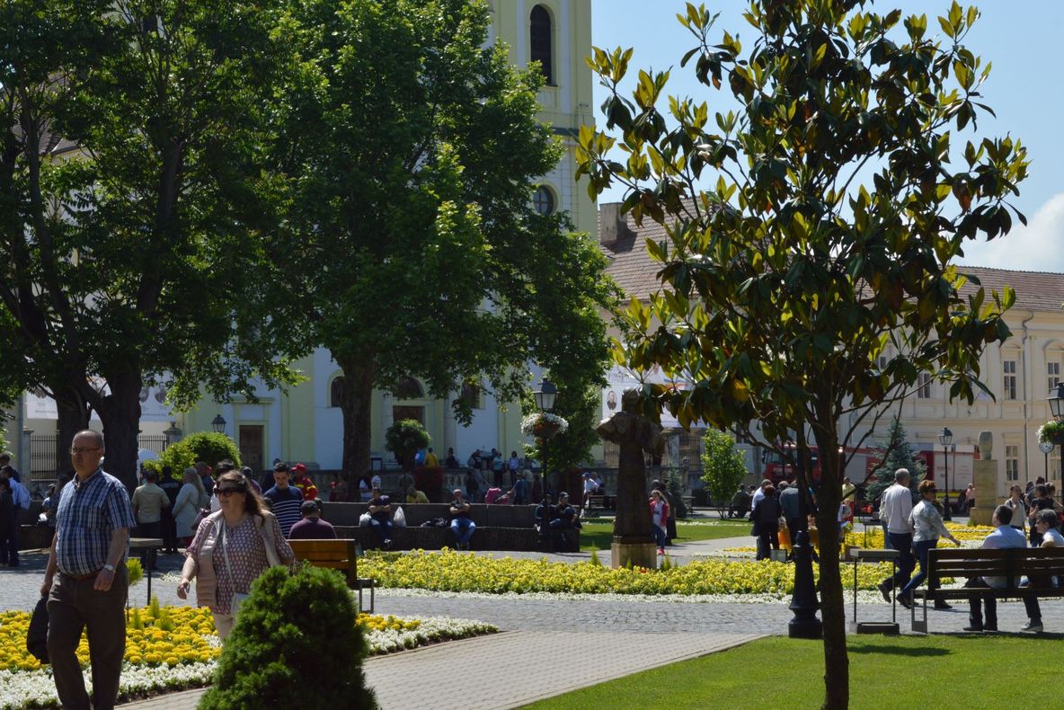 Competiții de top, în luna iunie, în Sala Transilvania. De la judo, la baschet și handbal