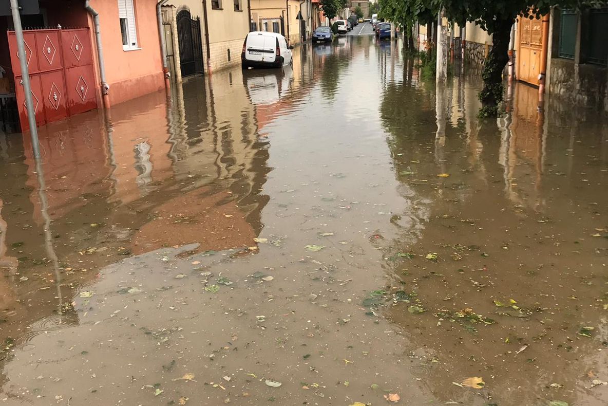 Pivnițe inundate și copaci doborâți în urma furtunii din Sibiu