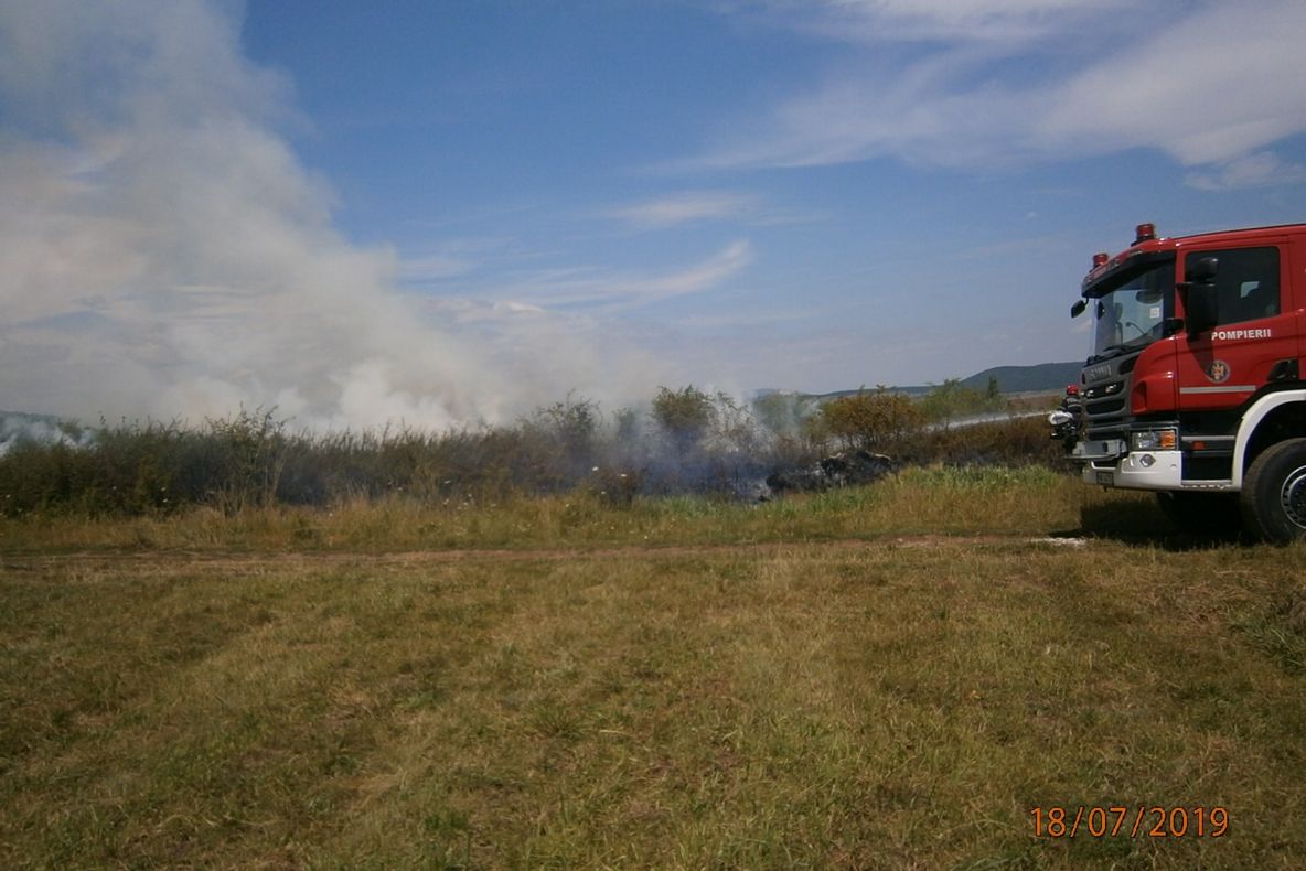 Accident pe Valea Oltului. Trei mașini și un TIR, implicate