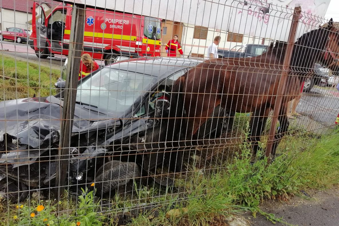 Cristian: O șoferiță a ajuns cu mașina într-o grădină privată și a lovit un cal