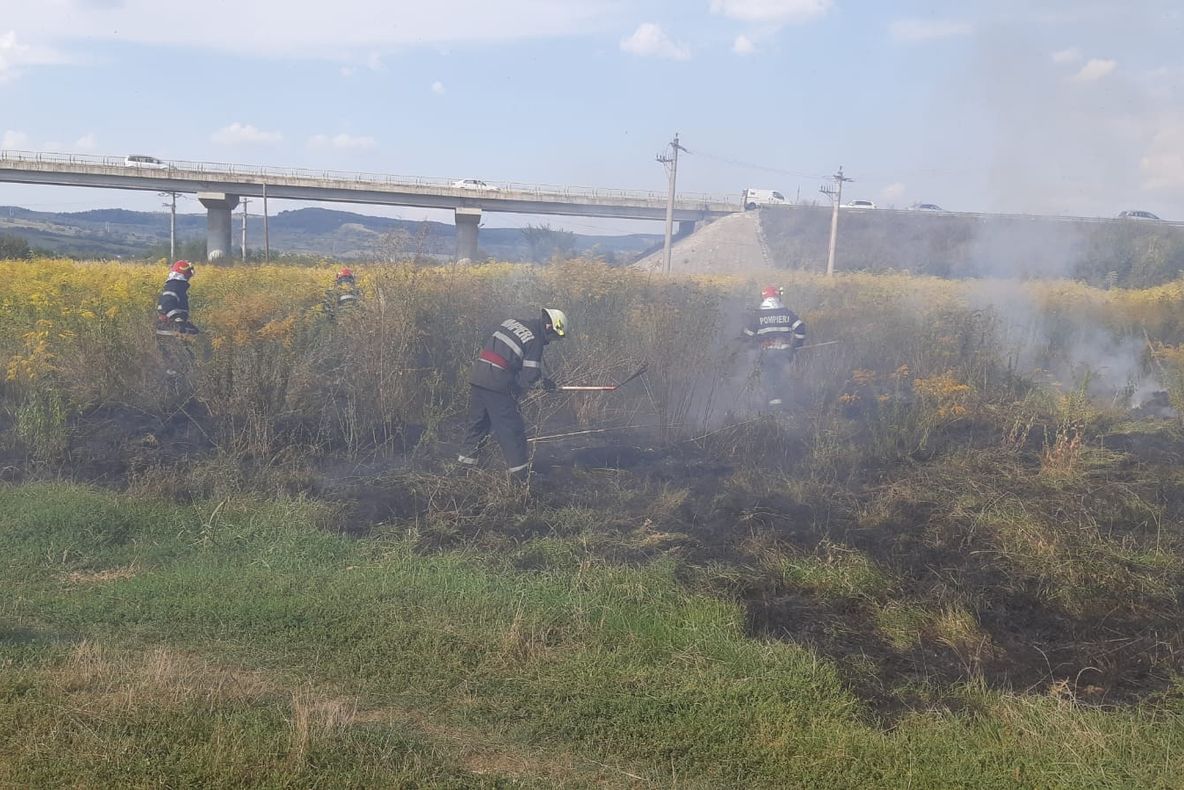 Incendiu de vegetație uscată, izbucnit în Avrig
