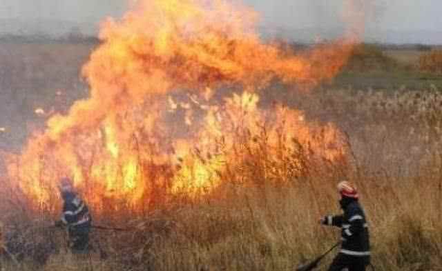 Incendiu de vegetație uscată pe Valea Săpunului