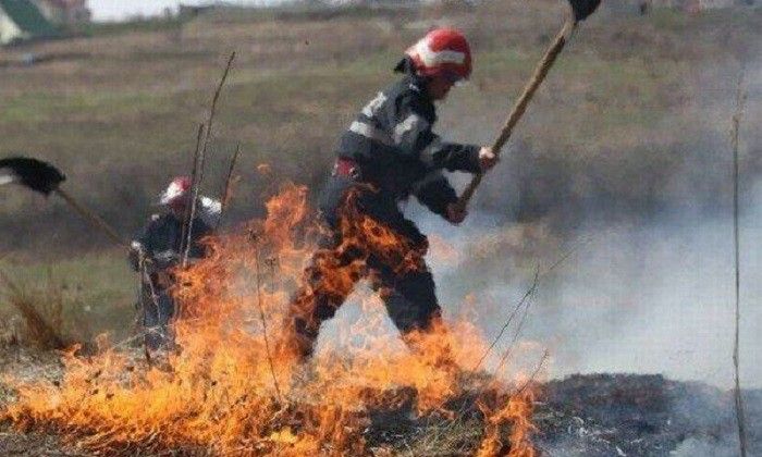 Video/300 mp de vegetație uscată au ars la Șura Mică într-un incendiu