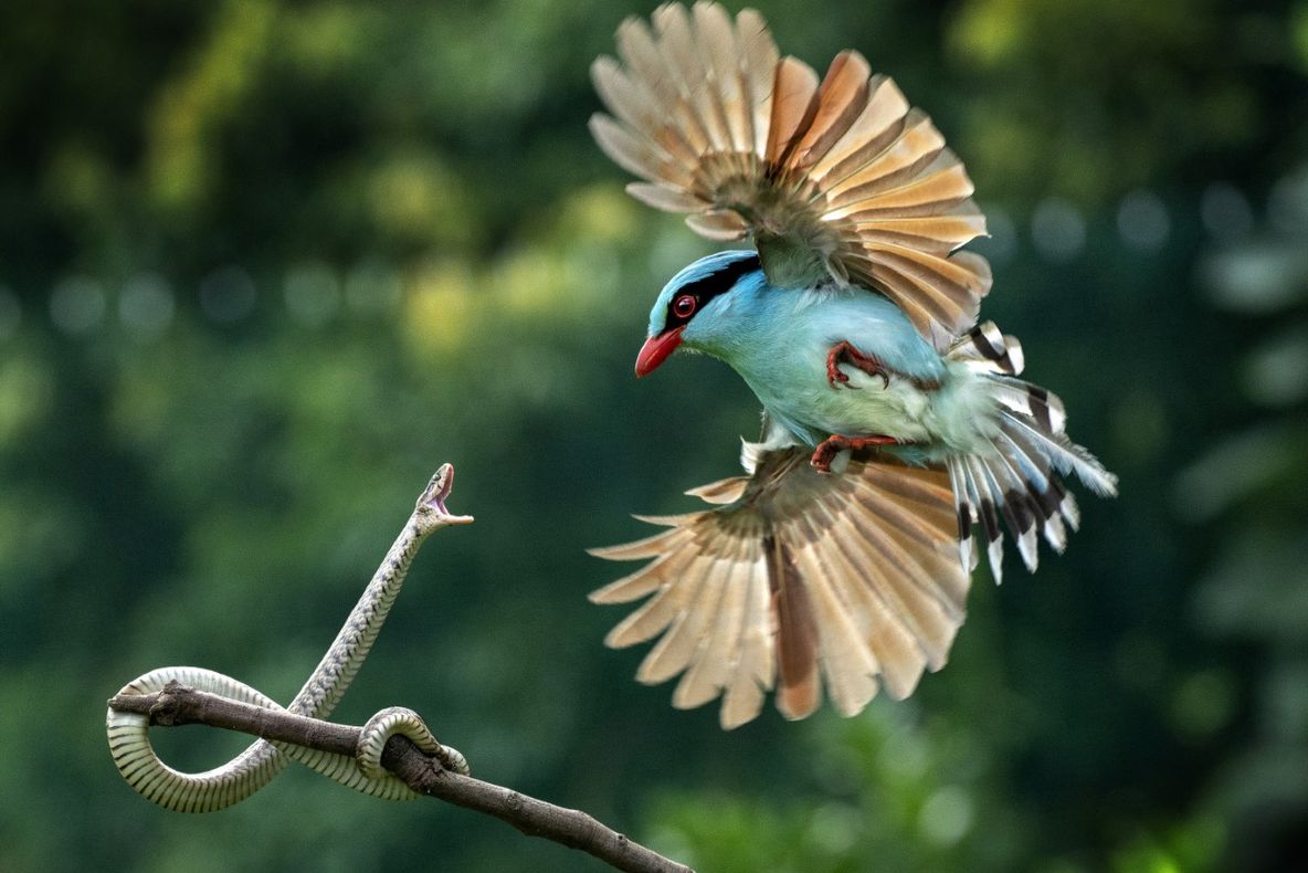 Salonul Internațional de Artă Fotografică și-a desemnat câștigătorii