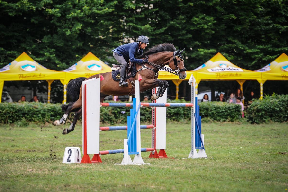 Caiii în toată splendaorea lor la „Marele Premiu al Municipiului Sibiu la călărie”