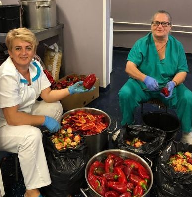 Spitalul de Pneumoftiziologie se pregătește pentru iarnă. Sute de kilograme de legume, conservate pentru hrana pacienților