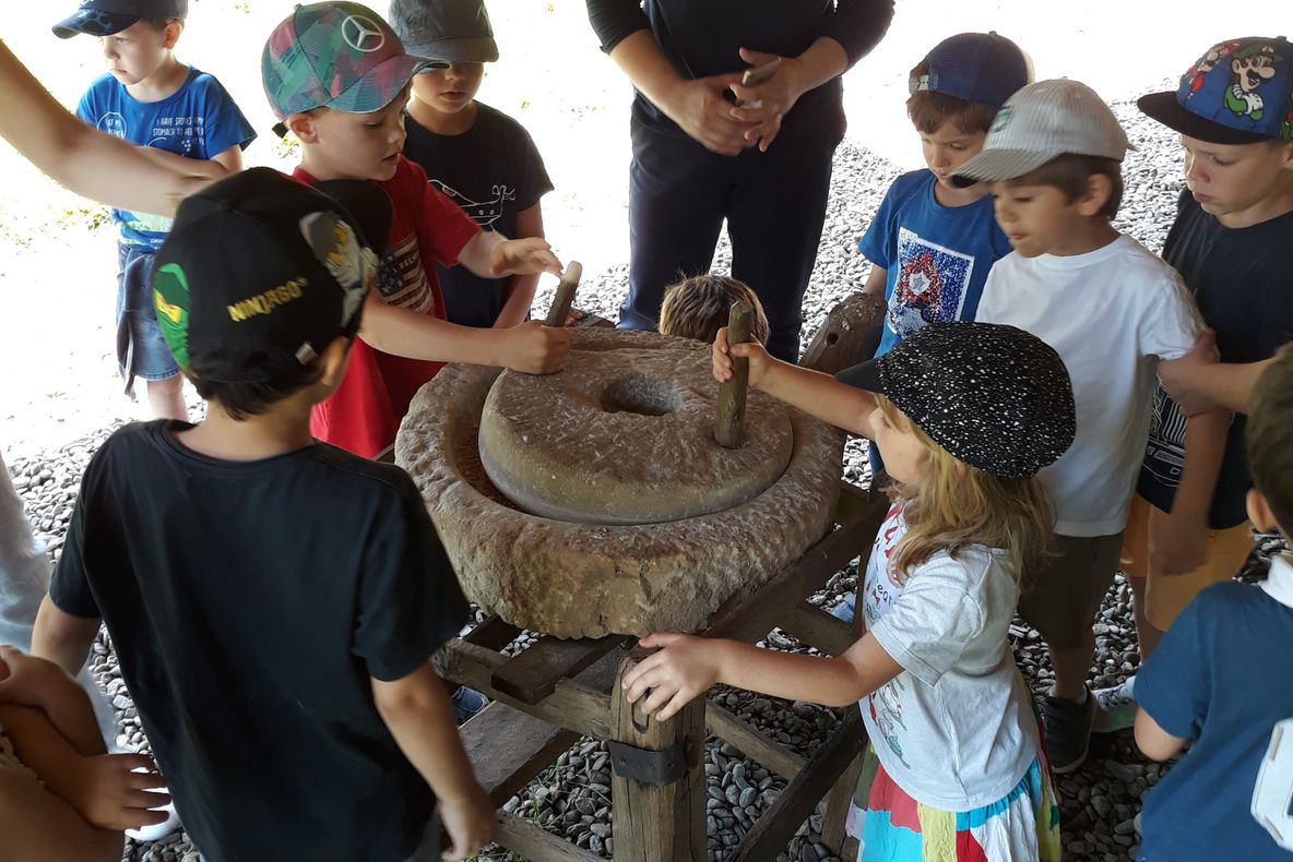 Recolta, sărbătorită duminică în Muzeul din Dumbrava Sibiului