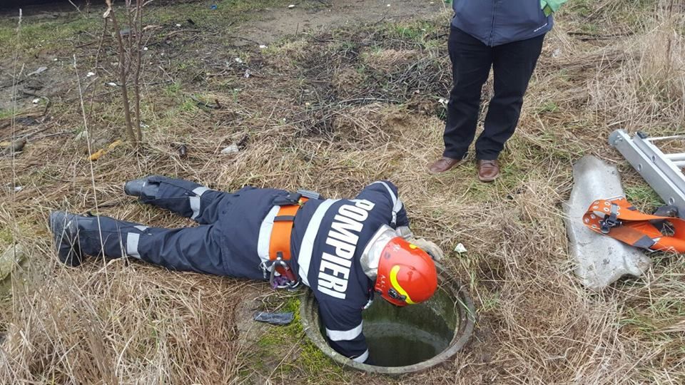 Câine salvat de pompieri, după ce a căzut într-un canal
