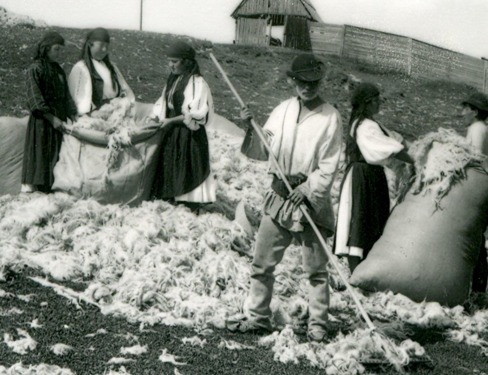 Evenimente de week-end în Muzeul Astra