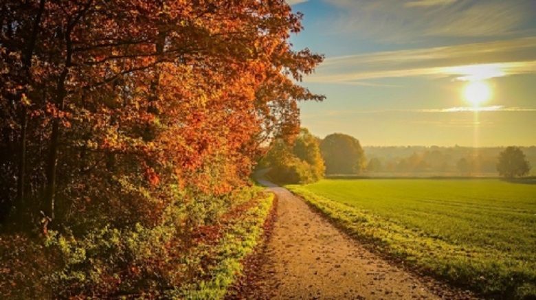 Vreme frumoasă, săptămâna viitoare. Temperaturi maxime de 27 de grade Celsius