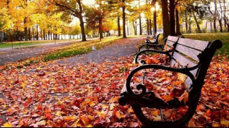 Vreme caldă la începutul săptămânii, rece în weekend