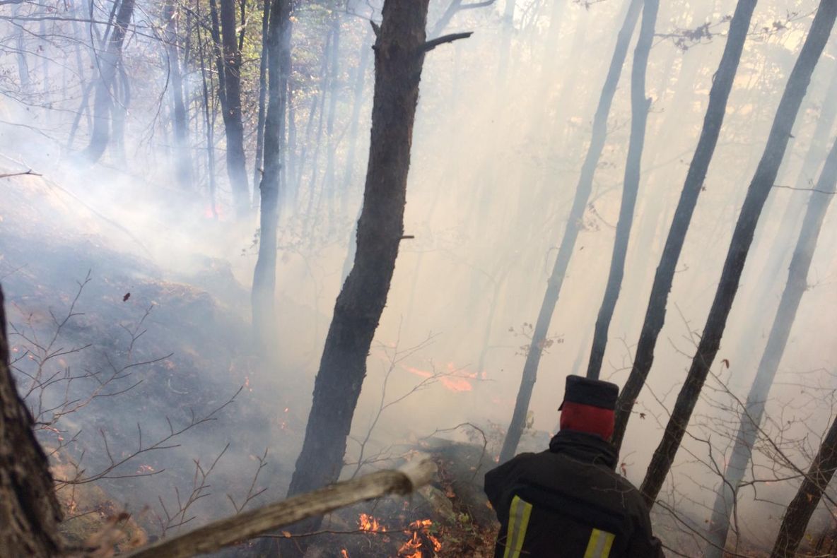 După trei zile a fost lichidat incendiul izbucnit la litiera pădurii de pe vârful Măgura